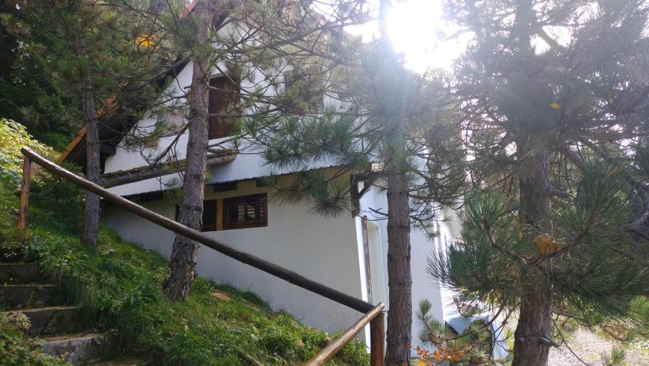 Uki & Sofi Mountain House 호텔 카파오닉 외부 사진