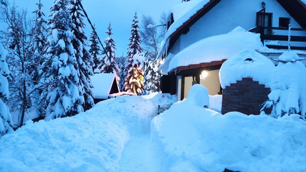 Uki & Sofi Mountain House 호텔 카파오닉 외부 사진
