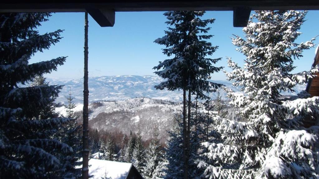 Uki & Sofi Mountain House 호텔 카파오닉 외부 사진